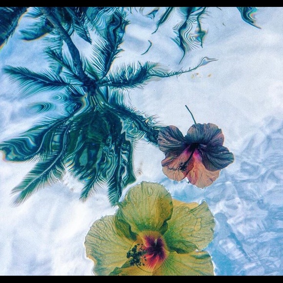 Meet your Posher, Amber - Picture 1 of 1